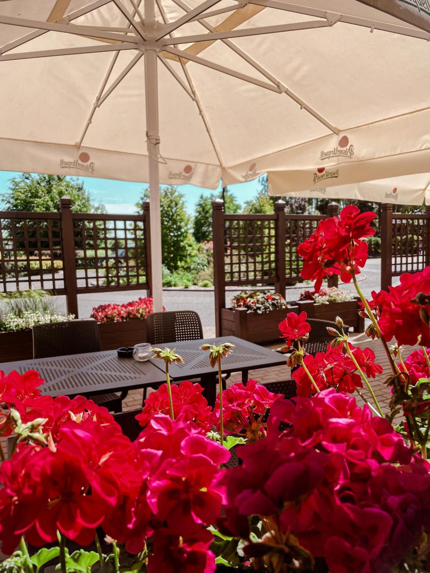 Dwor Bogucin Hotel&Restauracja Экстерьер фото